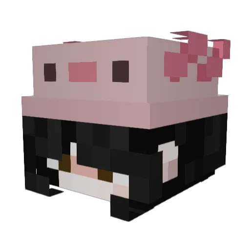 Zandrla Minecraft avatar head, 3D render