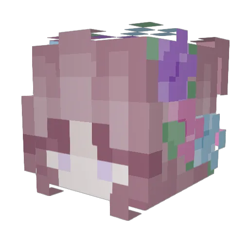ZandyZipper Minecraft avatar head, 3D render
