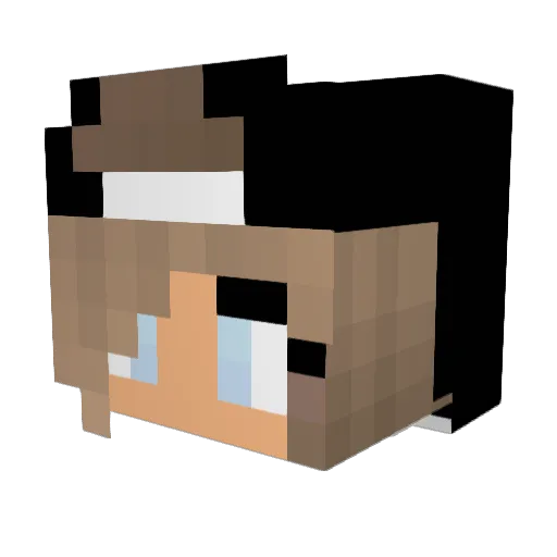 Zane1_3 Minecraft avatar head, 3D render