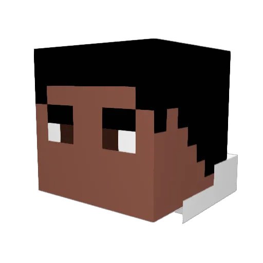 Zane2990 Minecraft avatar head, 3D render