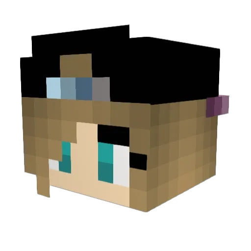 Zane45 Minecraft avatar head, 3D render