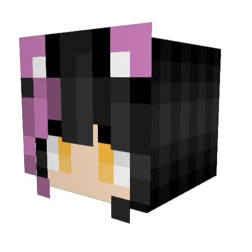 ZaneArcherman Minecraft avatar head, 3D render