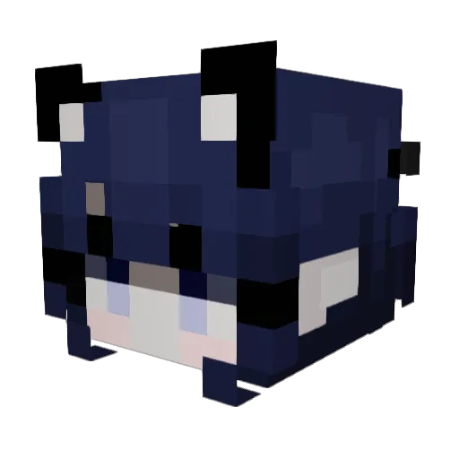 ZaneWolf28 Minecraft avatar head, 3D render