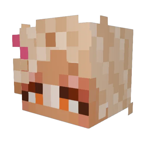 Zane_1617 Minecraft avatar head, 3D render