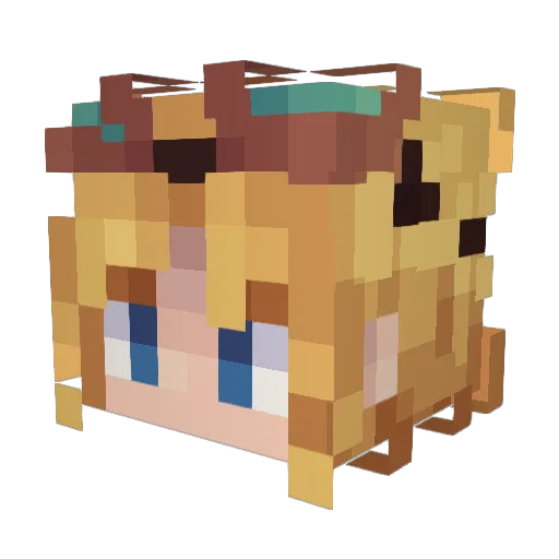 Zaneo49 Minecraft avatar head, 3D render
