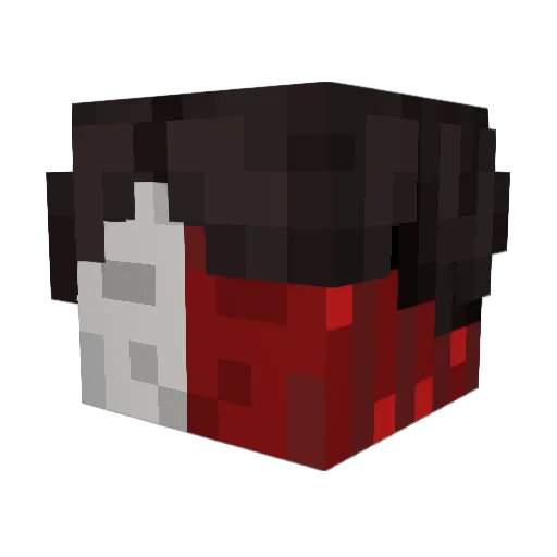 Zanet42 Minecraft avatar head, 3D render