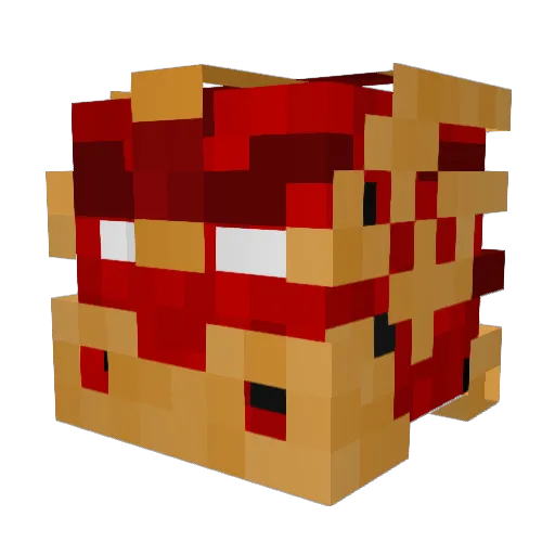 Zaneyboy123 Minecraft avatar head, 3D render