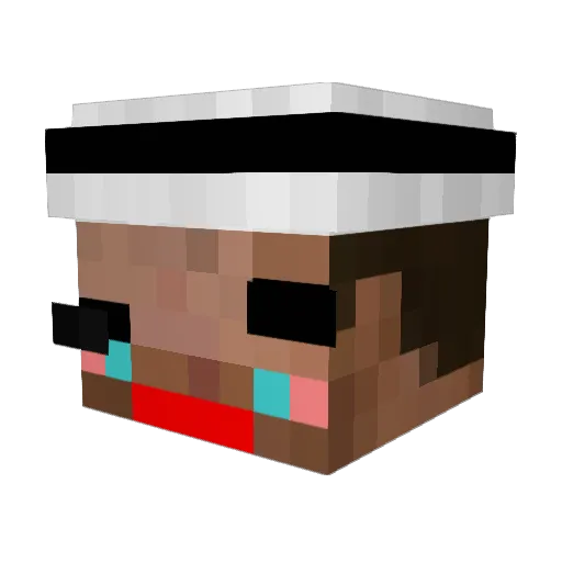 Zanistro Minecraft avatar head, 3D render