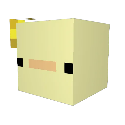 Zank0502 Minecraft avatar head, 3D render