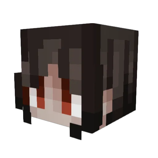 Zankousen Minecraft avatar head, 3D render