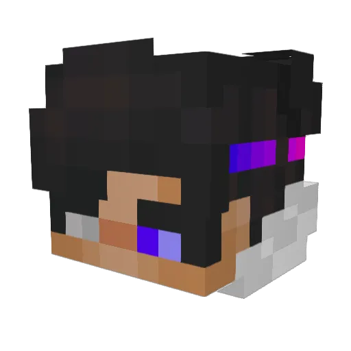 Zann3_NightF4ll Minecraft avatar head, 3D render