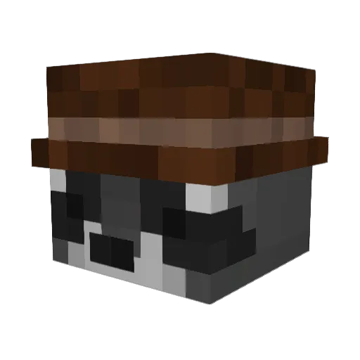 ZanoWinto Minecraft avatar head, 3D render