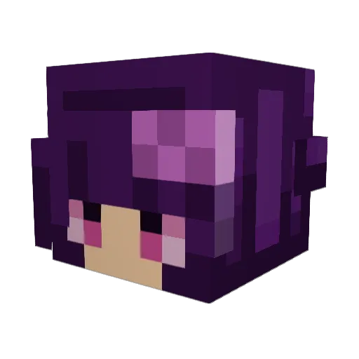 Zany1503 Minecraft avatar head, 3D render
