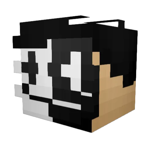 ZanyKnight810 Minecraft avatar head, 3D render