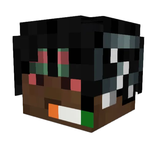 Zanyizm Minecraft avatar head, 3D render