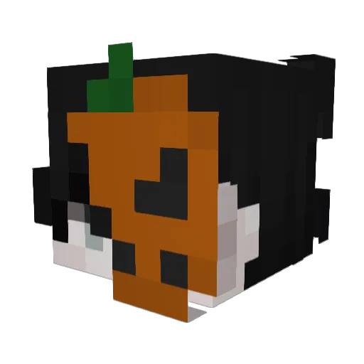 Zanyx_ Minecraft avatar head, 3D render