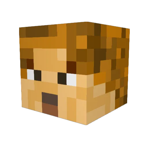 ZaoNiaaa Minecraft avatar head, 3D render