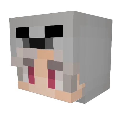 Zapattack123 Minecraft avatar head, 3D render