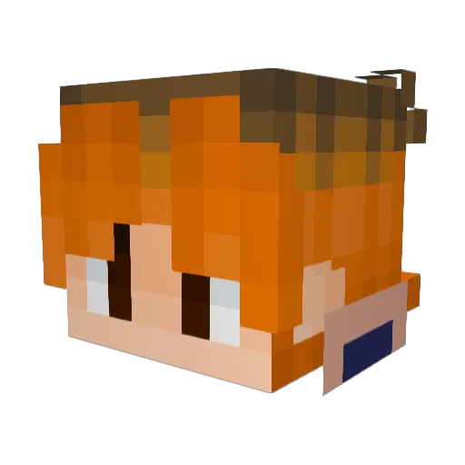 Zapawilou Minecraft avatar head, 3D render