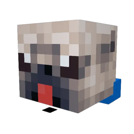 ZapazFS Minecraft avatar head, 3D render