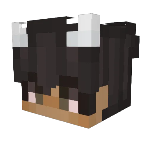 Zapp7 Minecraft avatar head, 3D render