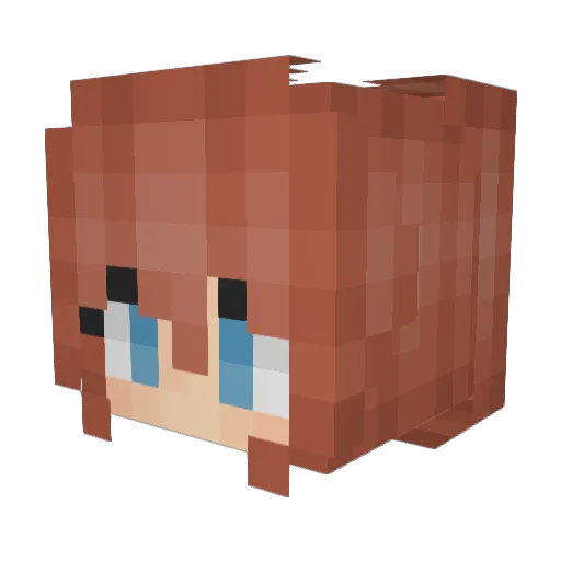 Zapper_exe Minecraft avatar head, 3D render