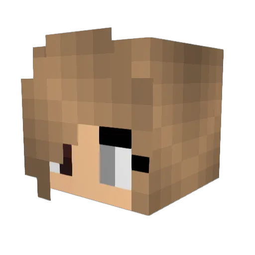 Zapperkills Minecraft avatar head, 3D render