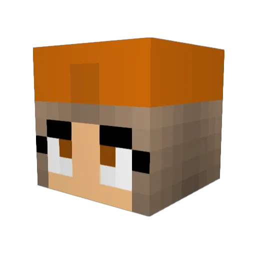 Zappi05 Minecraft avatar head, 3D render