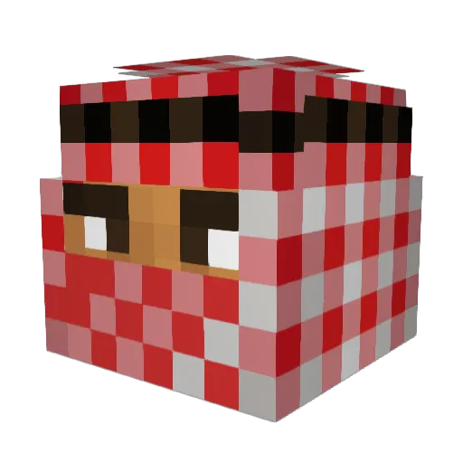 ZappyBojaFausss Minecraft avatar head, 3D render