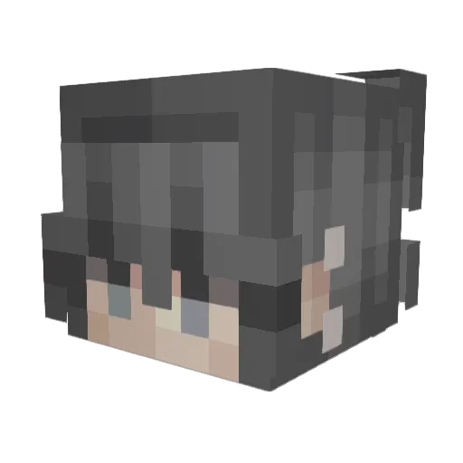 Zappy_Zebra Minecraft avatar head, 3D render