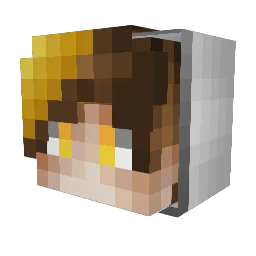 Zappyyyy_ Minecraft avatar head, 3D render