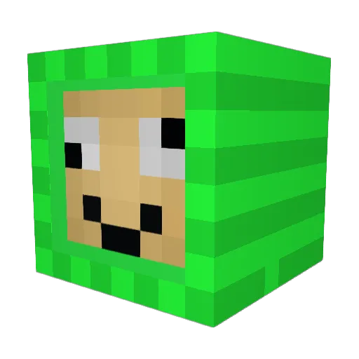 Zaptom Minecraft avatar head, 3D render