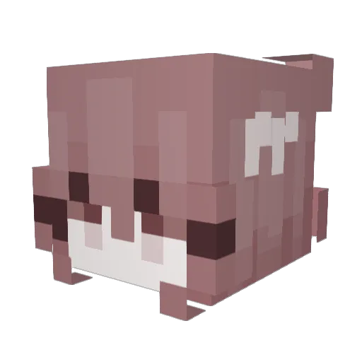 Zaqqis Minecraft avatar head, 3D render