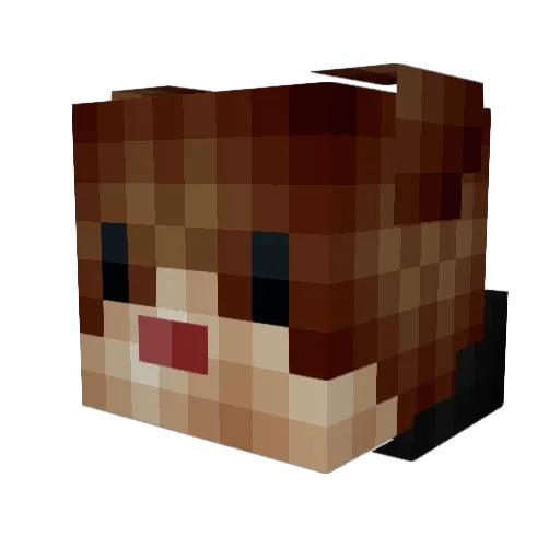 Zaquez Minecraft avatar head, 3D render