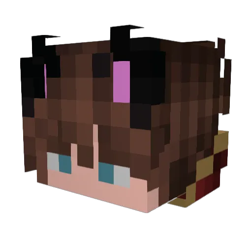 ZarYar29 Minecraft avatar head, 3D render