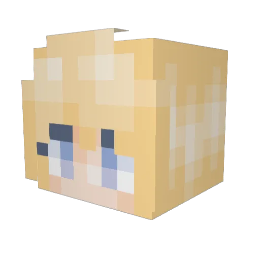 ZarZa9 Minecraft avatar head, 3D render