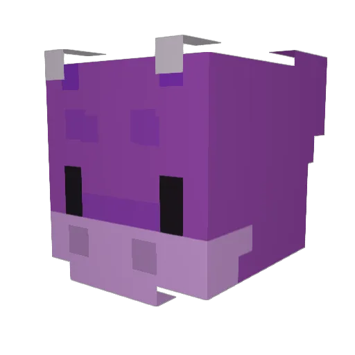 Zara2142 Minecraft avatar head, 3D render