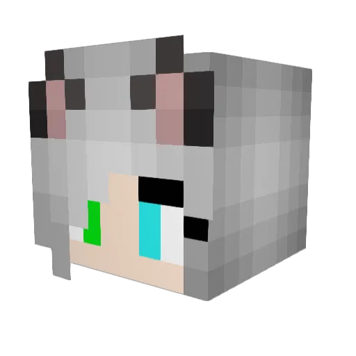 ZaraJW Minecraft avatar head, 3D render