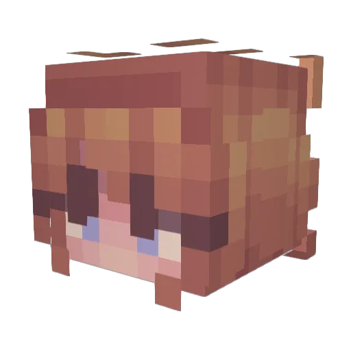 Zara_2003 Minecraft avatar head, 3D render
