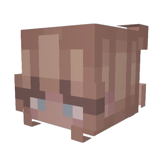 Zara_Brooke Minecraft avatar head, 3D render