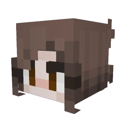 Zaraaaaaaaaaa Minecraft avatar head, 3D render