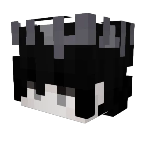 ZaragonPlays Minecraft avatar head, 3D render