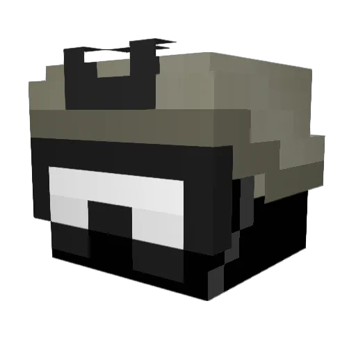 Zararaka Minecraft avatar head, 3D render
