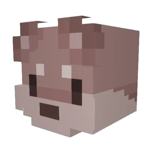 Zarawte Minecraft avatar head, 3D render
