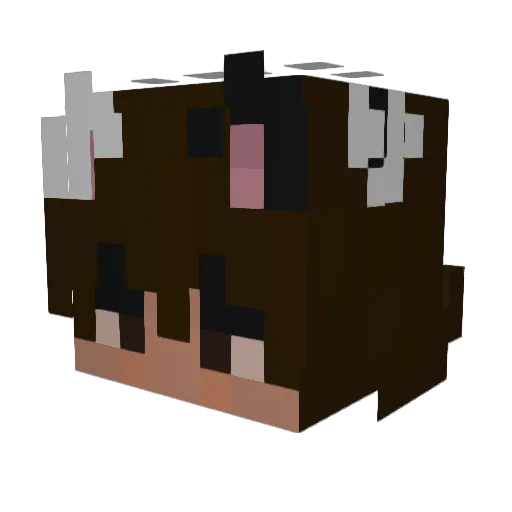 Zarberian Minecraft avatar head, 3D render