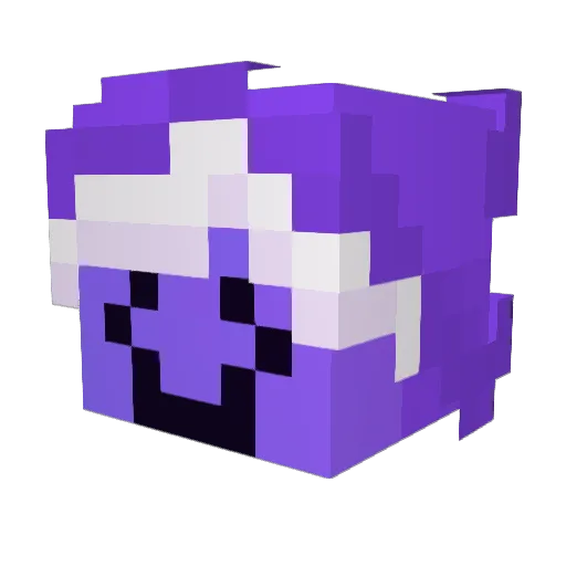 Zarcik Minecraft avatar head, 3D render