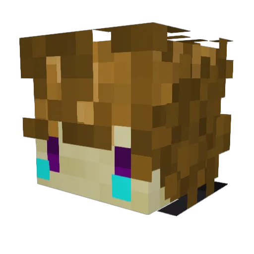 Zarcs_ Minecraft avatar head, 3D render