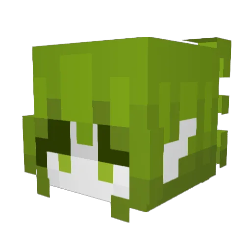 Zard479 Minecraft avatar head, 3D render