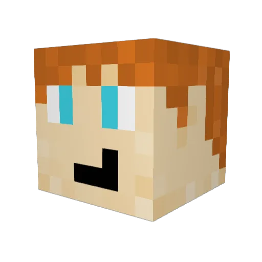 Zardain1 Minecraft avatar head, 3D render