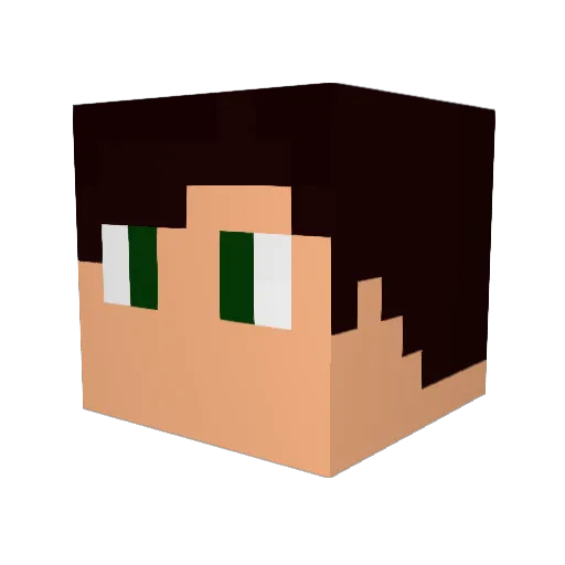 ZardoVIP Minecraft avatar head, 3D render